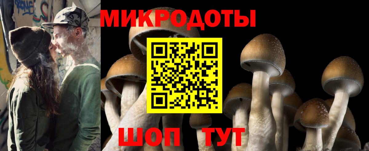 Псилоцибиновые грибы Magic Shrooms  Вход с VPN  Ирбит 